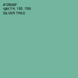 #72B69F - Silver Tree Color Image